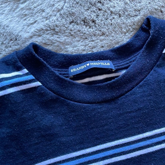 Brandy Melville Helen Crop Top - Picture 6 of 8